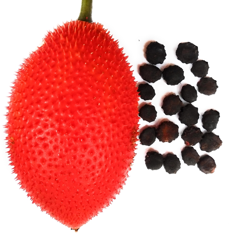 Gac Fruit and seeds