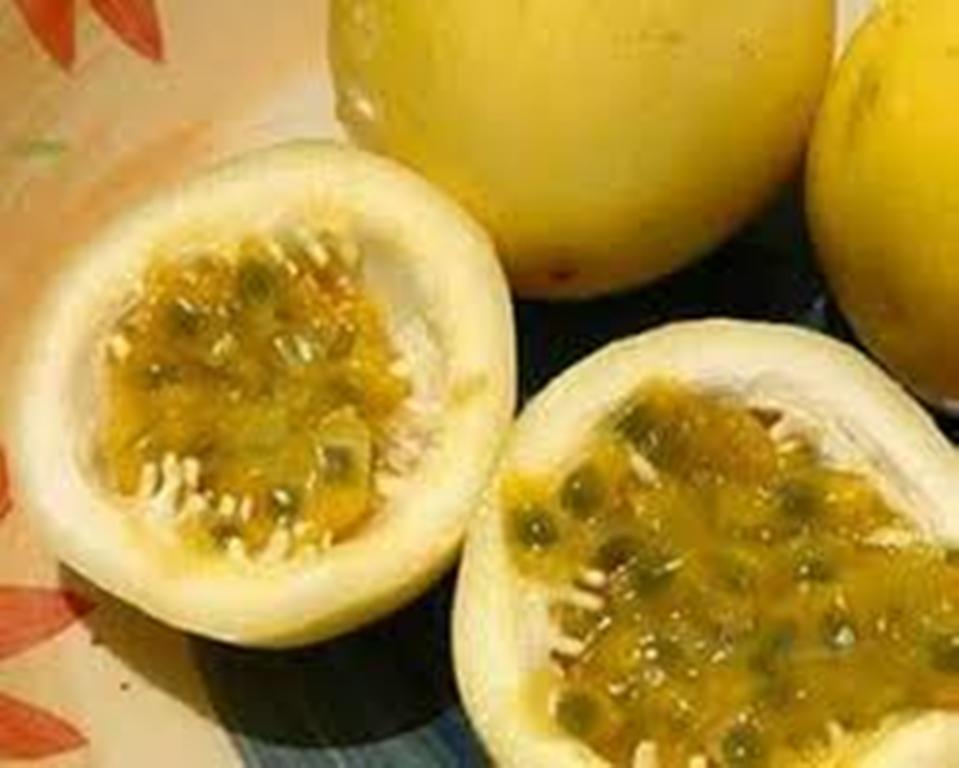 passion fruit- can make value added products