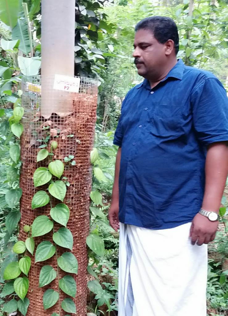 Farmer Biju Narayanan Kannoor