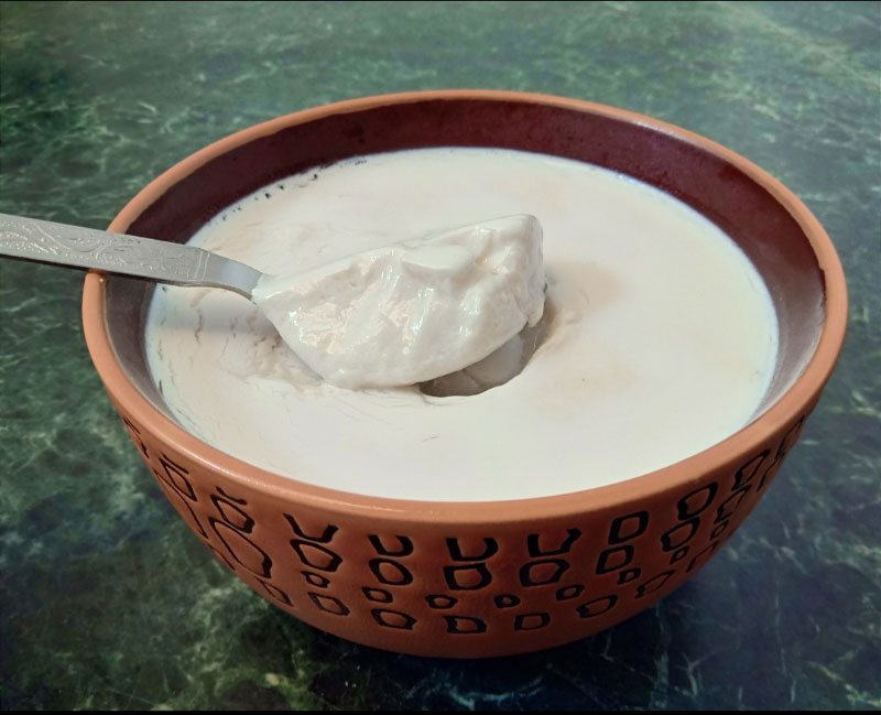 Health benefits of Curd