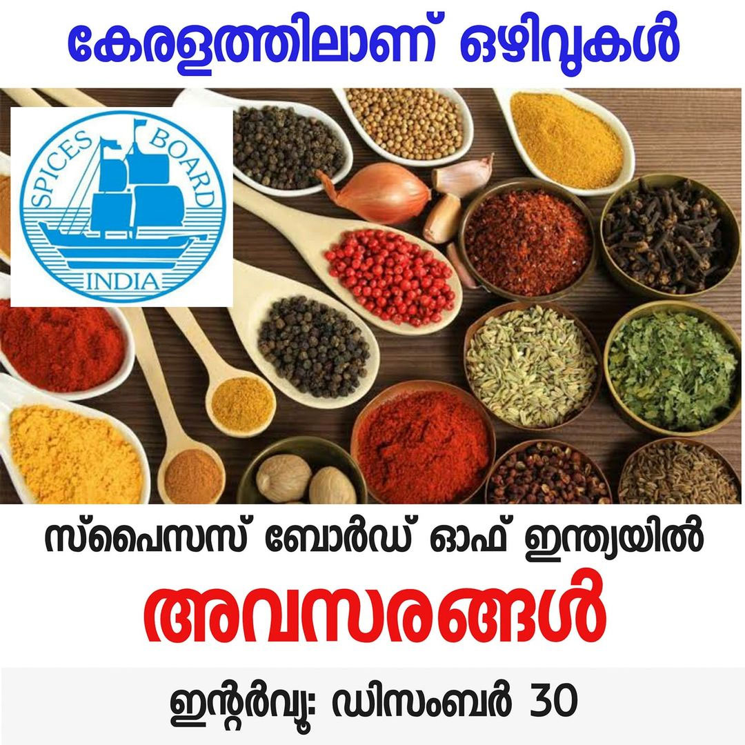 Opportunities in the Spices Board of India