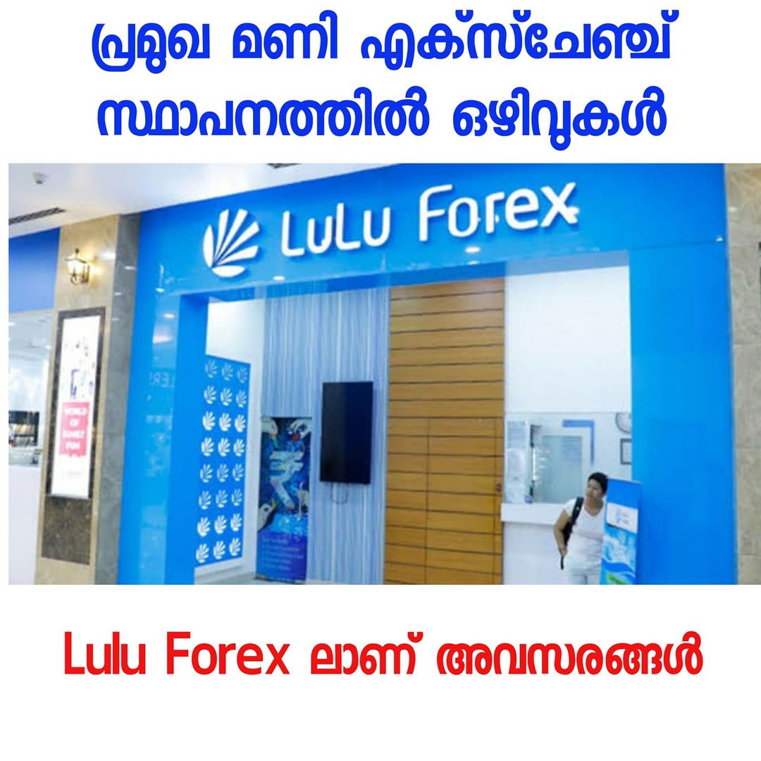 Job opportunities in Lulu Forex