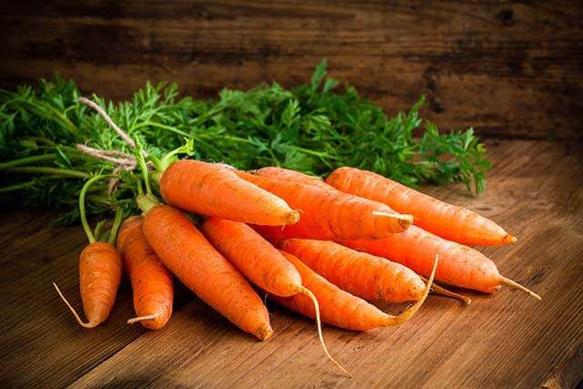 Diseases affecting carrots