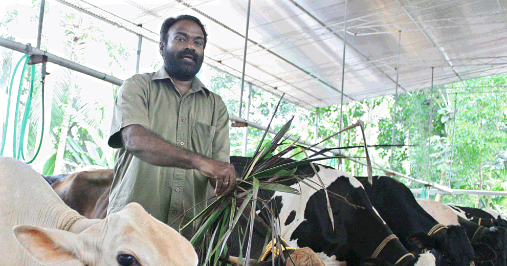 കർഷകരുടെ വീടും തൊഴുത്തും കറവമാടുകളെയും ഇൻഷുർ ചെയ്യുന്നതിനുള്ള പദ്ധതികൾ