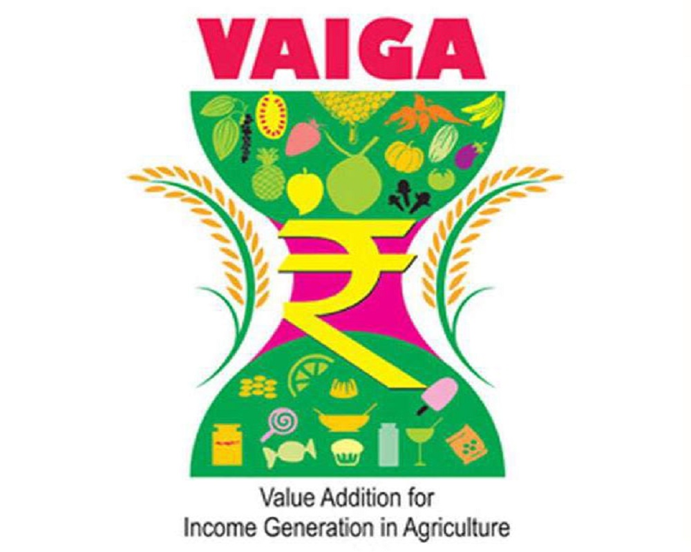 Vertual B to B Meet in Vaiga