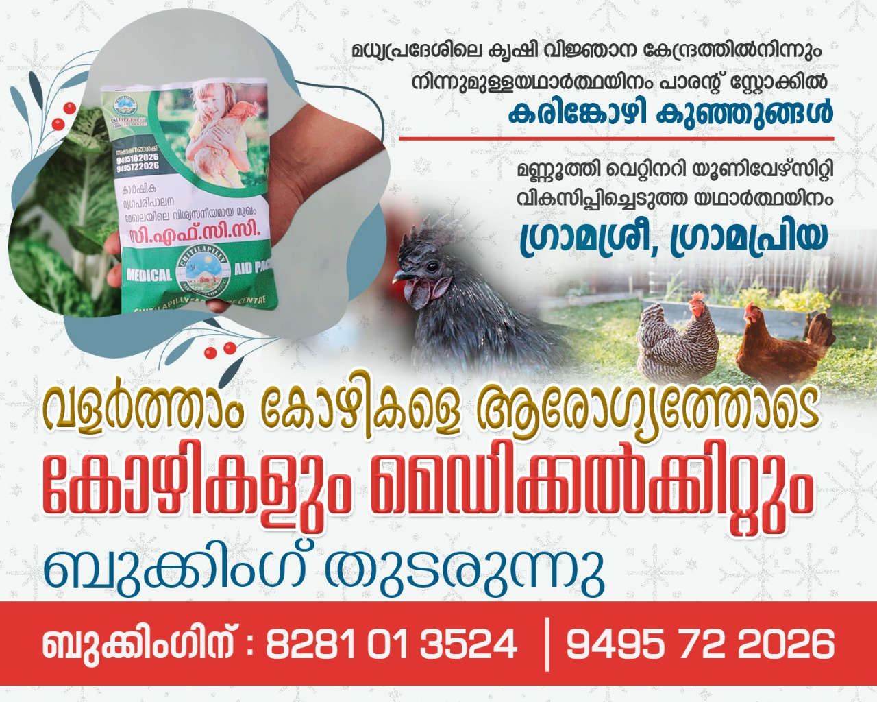 സി.എഫ്.സി.സി. യില്‍ നിന്നും കോഴി വാങ്ങുന്നവര്‍ക്ക് കോഴിക്കൊപ്പം മെഡിക്കല്‍ക്കിറ്റും പദ്ധതി