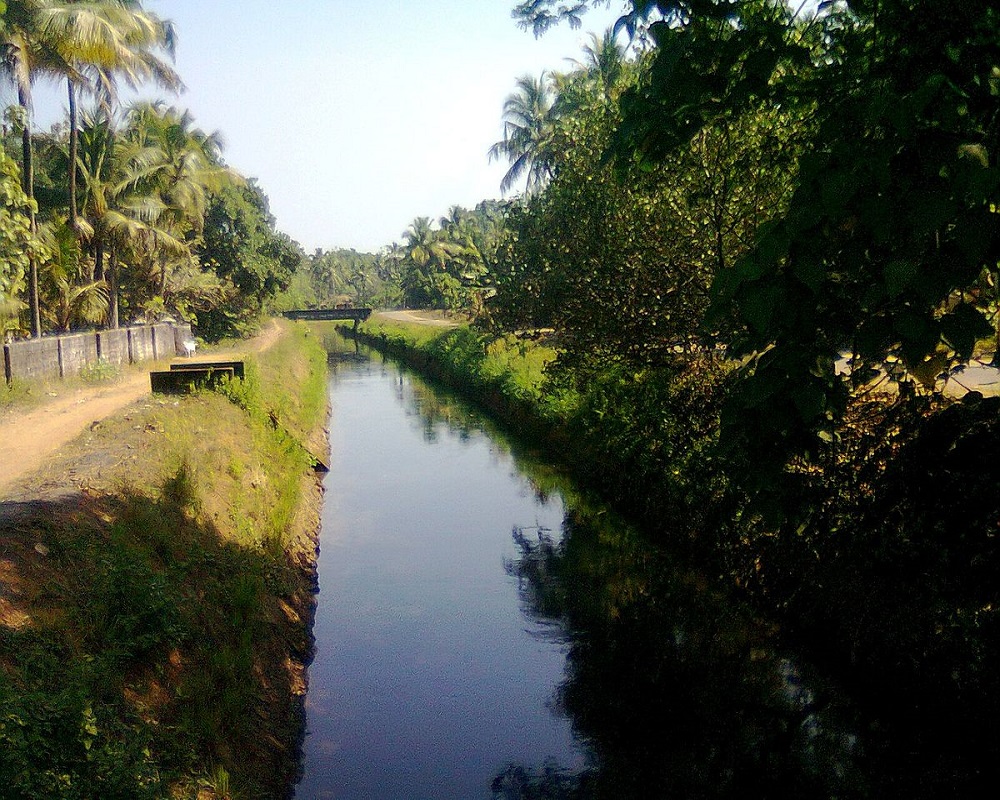 പെരിയാർവാലി ജലസേചന പദ്ധതി; കനാൽ   പുനസ്ഥാപിക്കാൻ നിർദേശം