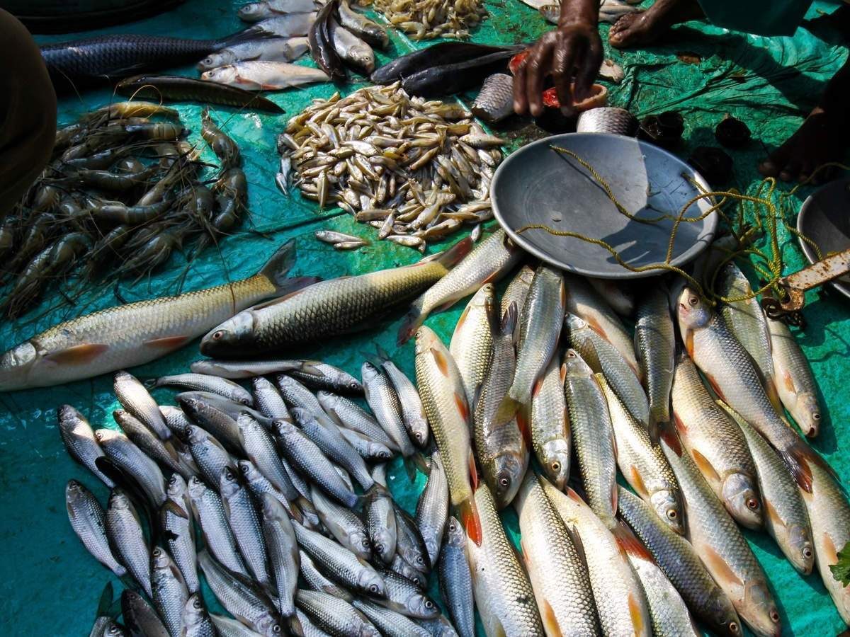 Country's first transgender to become a fisheries entrepreneur