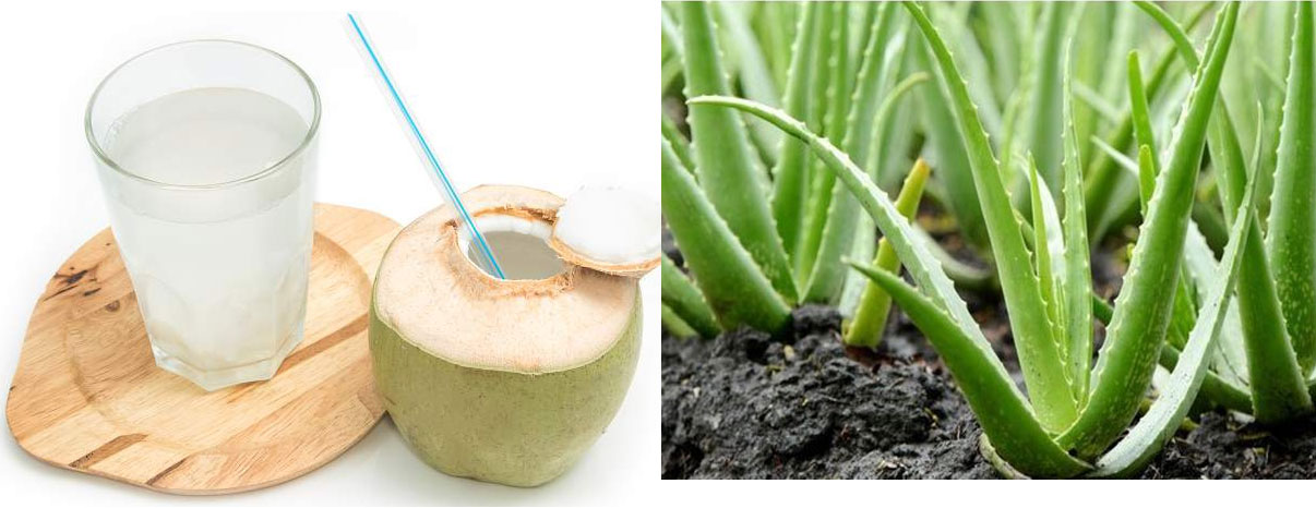 Coconut water & Aloe vera are good to remove body heat