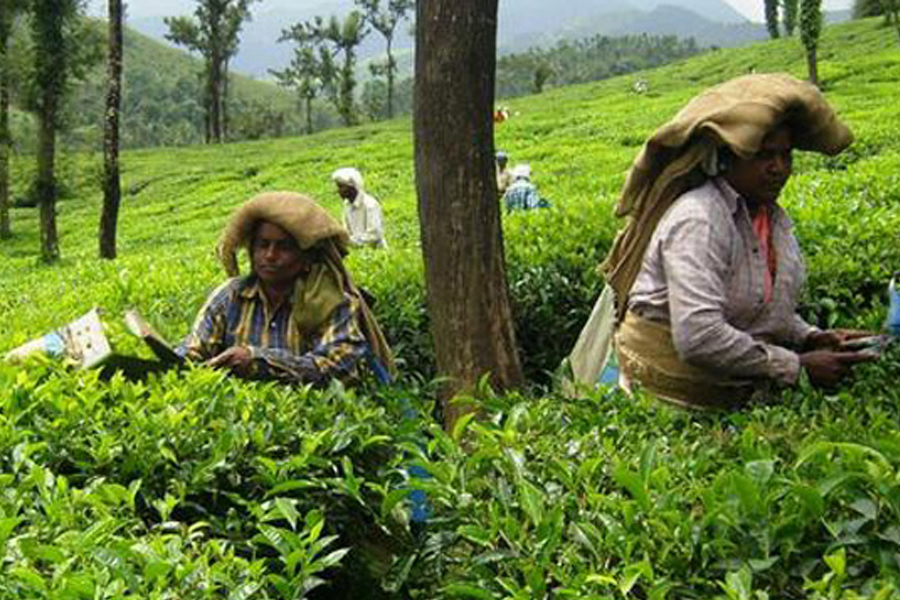 ജഡ്ജ് (റിട്ട.) അഭയ് മനോഹര്‍ സപ്രെ ഏപ്രില്‍ 19ന് സിറ്റിംഗ് നടത്തും.