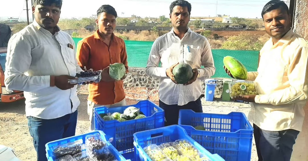Maharashtra Farmers Turn Lockdown Into New Business Opportunity, Earn Rs 6 Crore