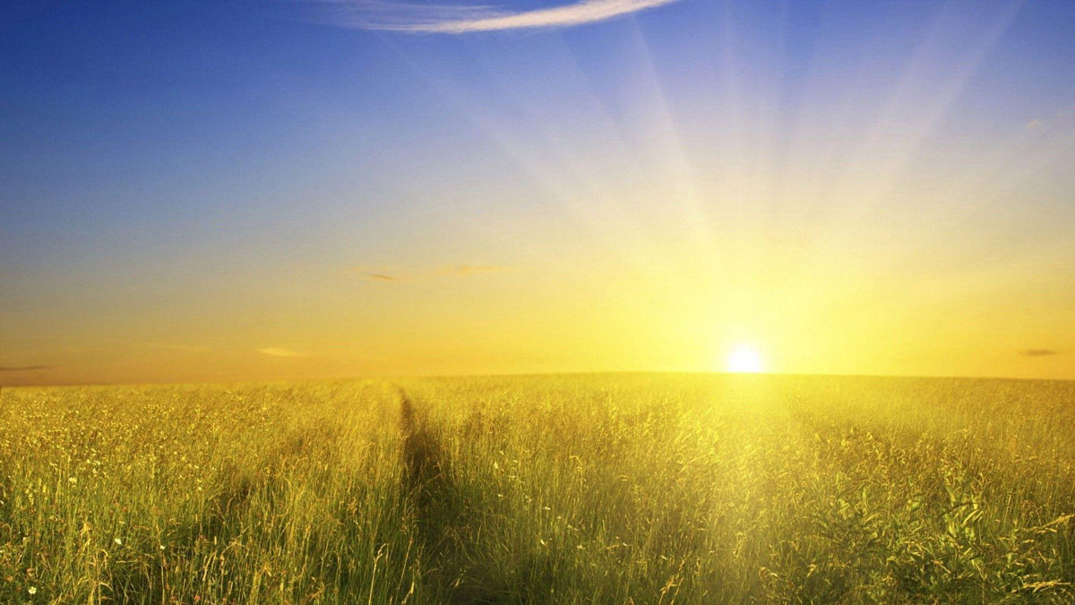 5 amazing benefits of exposure to sunlight