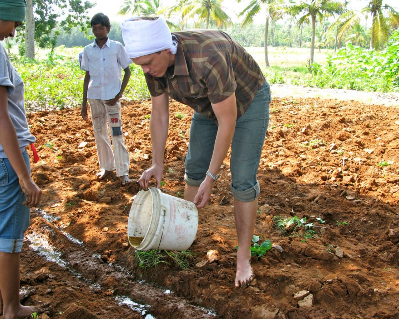 ഗോമൂത്രം.