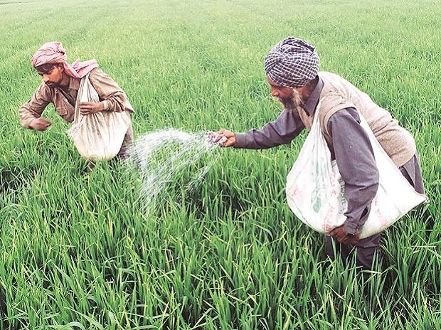 P&K fertilizers will be made available to farmers at affordable rates