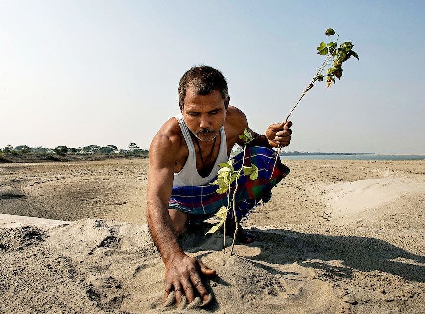 Jadav Payeng: The Forest Man of India