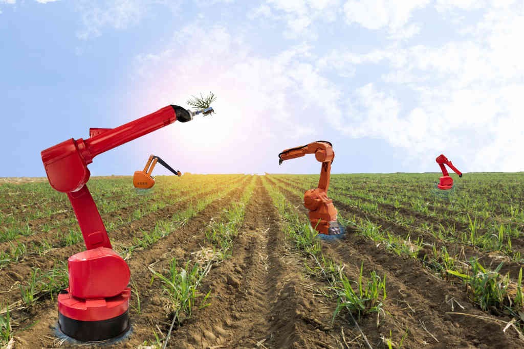 The future of food production; Robots revolutionizing agriculture