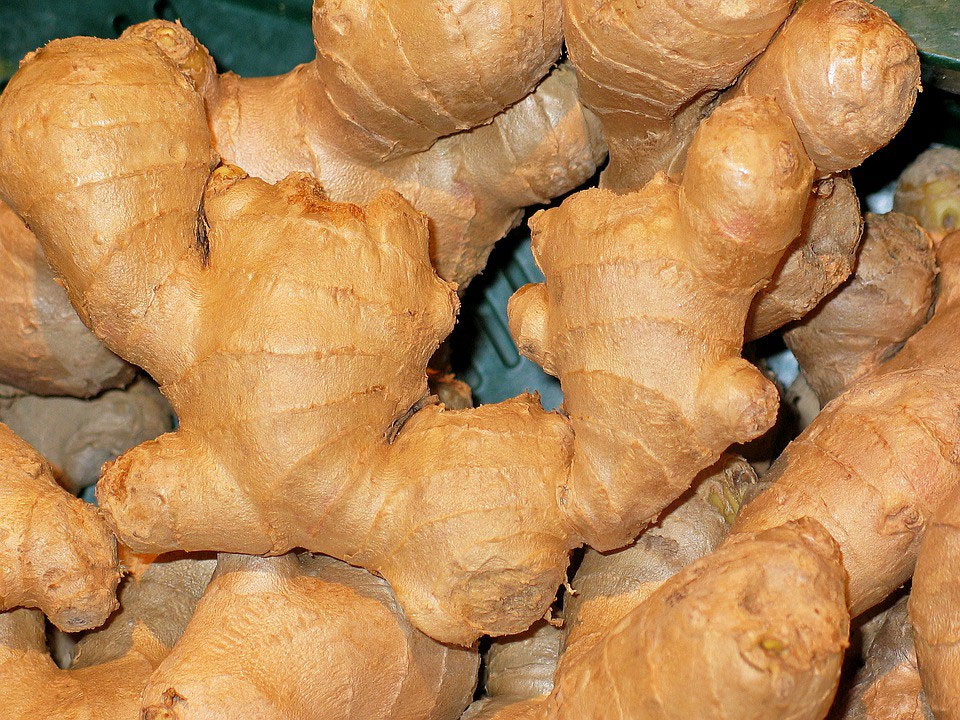 Ginger prices dipped; Ginger farmers face huge loses