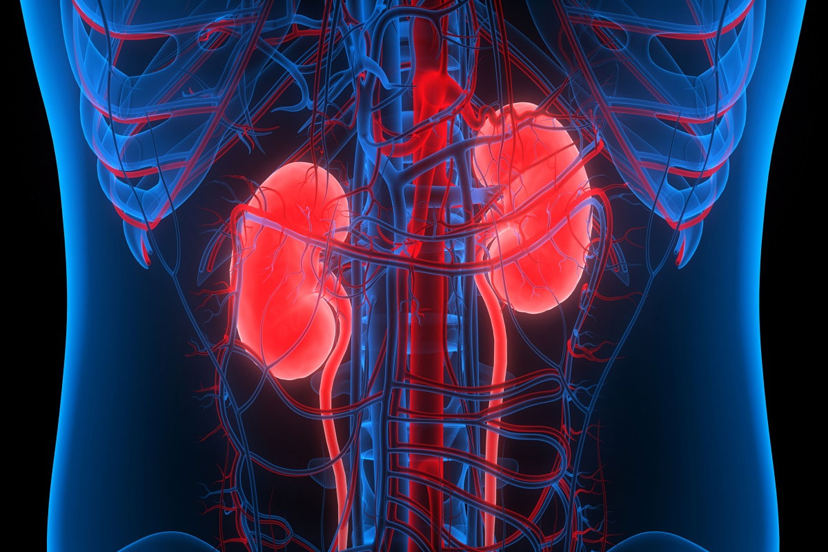 How can we protect our kidney from damaging?