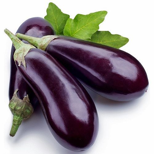 Brinjal cultivation and benefits