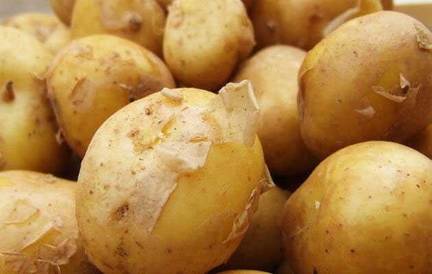 La Bonnotte Potatoes