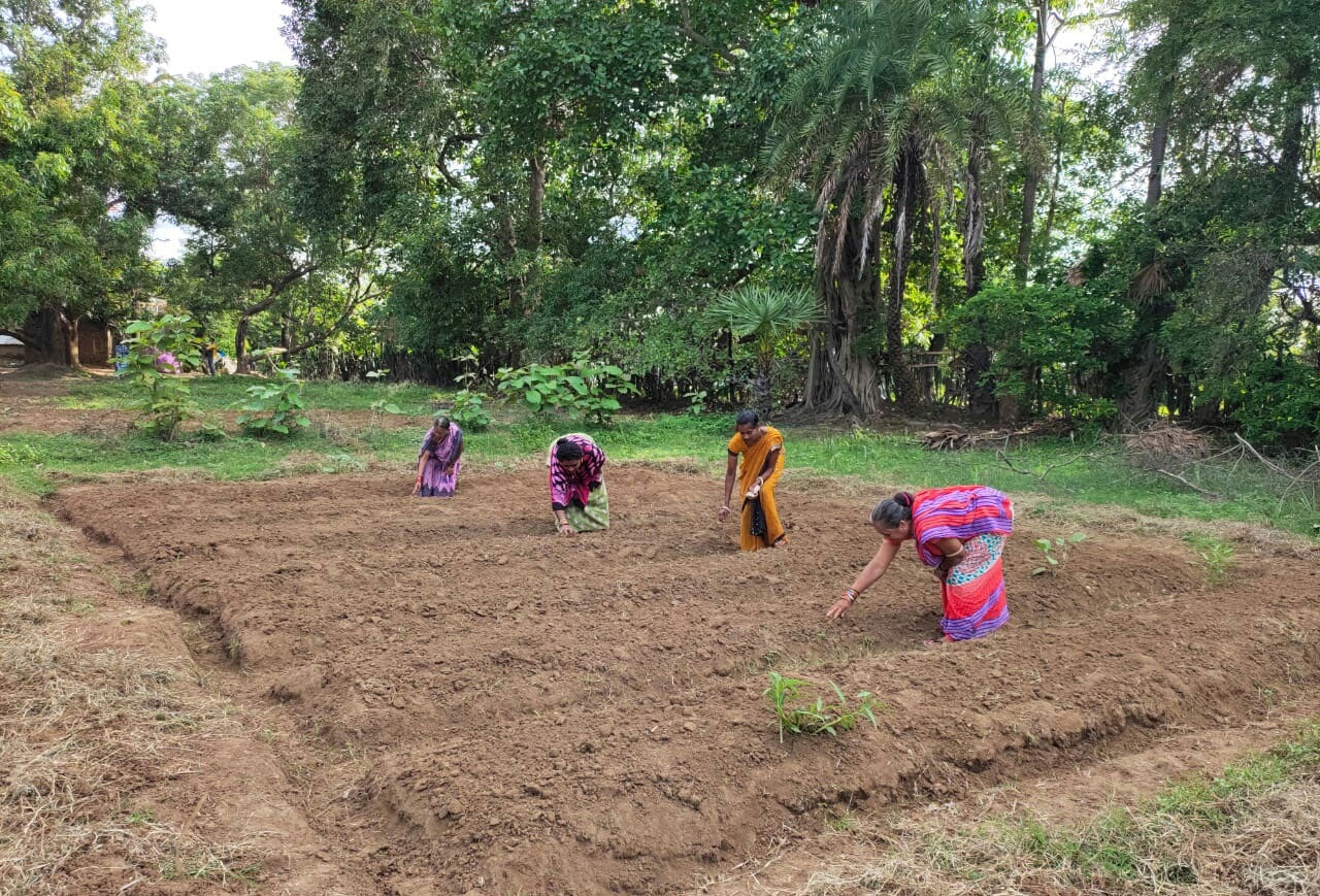 Kudumbasree launches 'Agri Nutri Garden' project for 10 lakh households