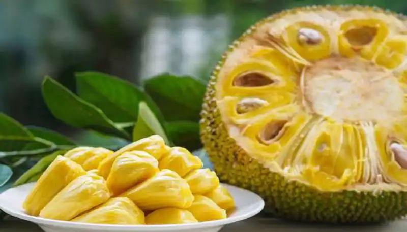 APEDA flags off first export of value added products from Jackfruit, Passion Fruit and Nutmeg