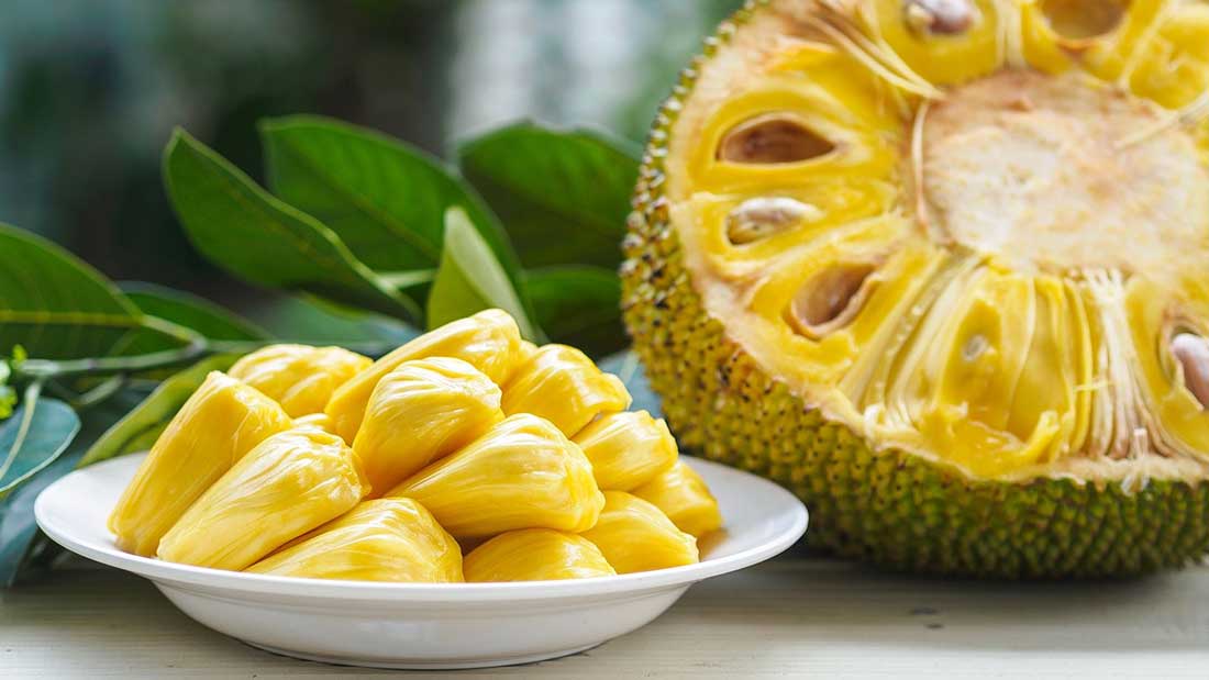 APEDA facilitated first export of the value-added products of Jack fruit to New Zealand