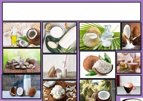 Project Coconut Based Value Added Products Online Training on 27th