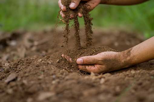 About the different types of soils found in Kerala and the crops that can be grown in them