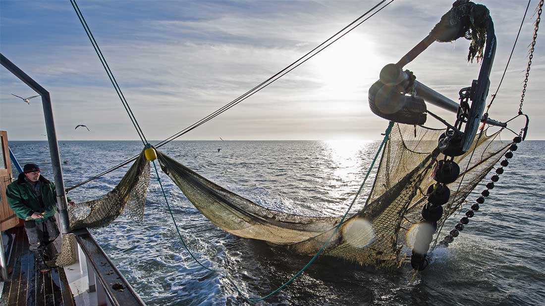 Monsoon welfare schemes will be made more effective during the ban on trawling by fishermen