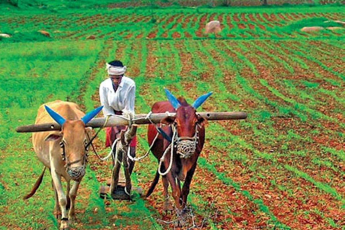 Benefits in industries to be extended to the plantation sector