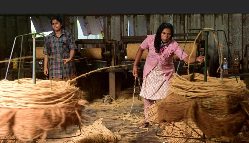 Local bodies should utilize the potential of coir geotextile