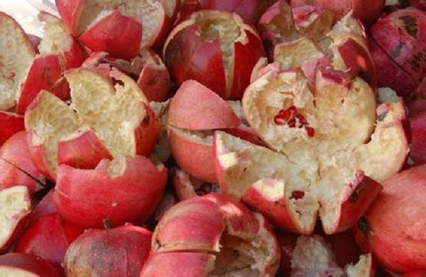 Pomegranate peel also good for health