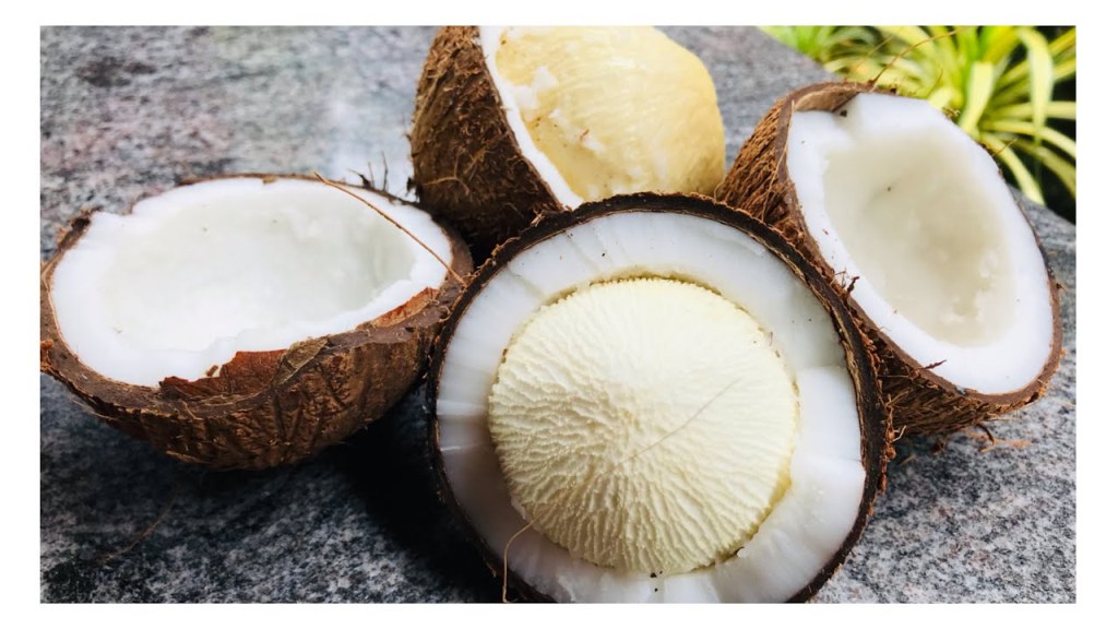 Coconut Embryo