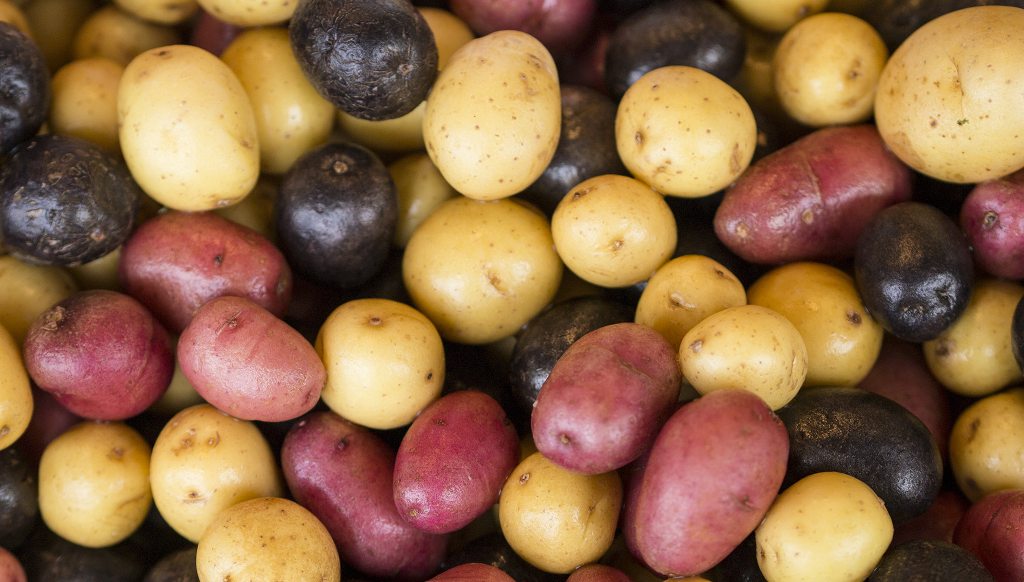 Different Variety of Potato's