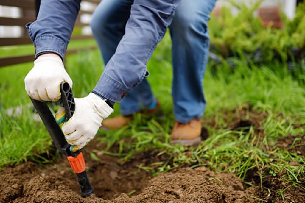 How to destroy disposed plants and weeds