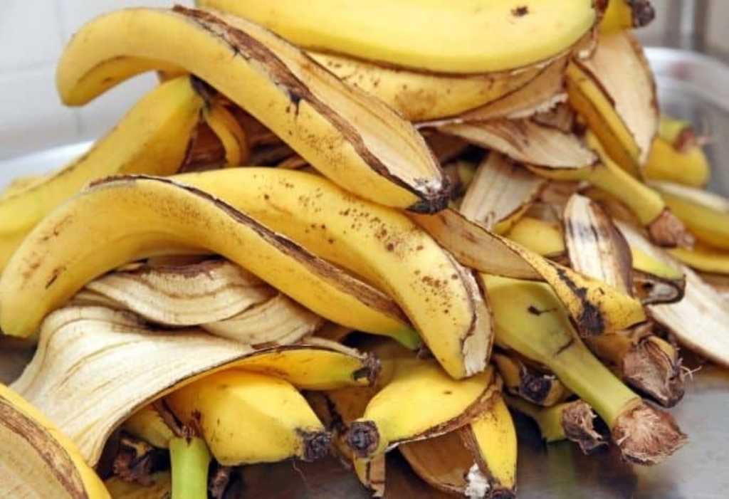 How can dried banana peels be used as a fertilizer?