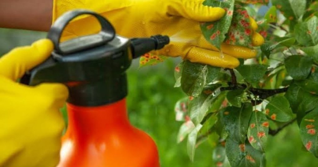 What is the use of baking soda and how can it be used in the garden?