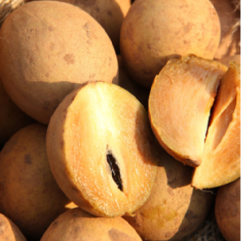 What are the health benefits of Chiku?