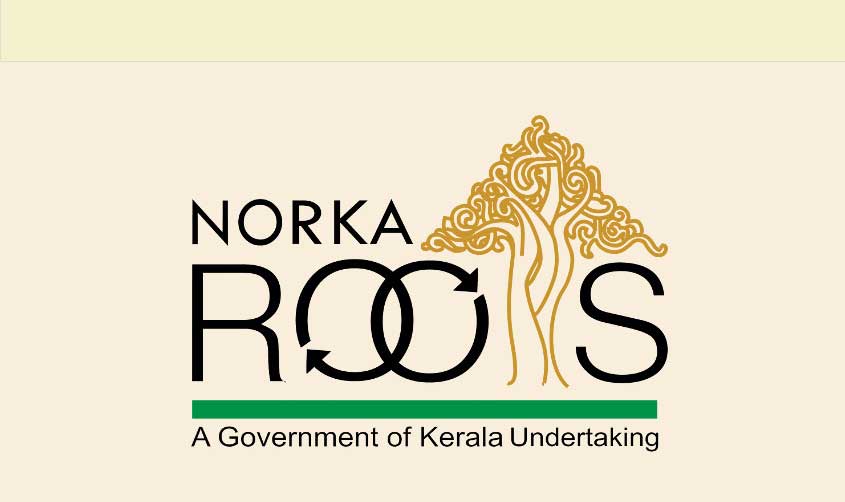 Apply for NRI loans up to Rs 30 lakh