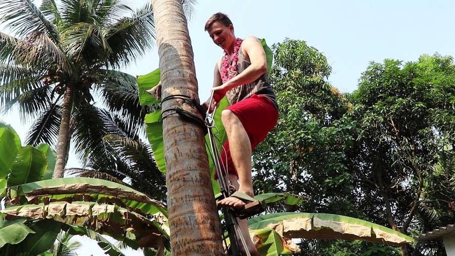 Improved Coconut Security Insurance Scheme for Coconut Tree Climbing Workers
