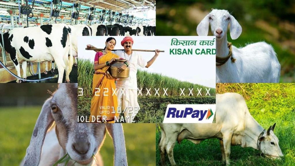 Loan up to Rs. 3 lakhs under Pashu Kisan Credit Card