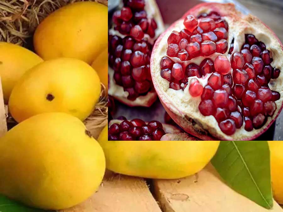 Exports of Indian mangoes and pomegranates to the US will begin this month