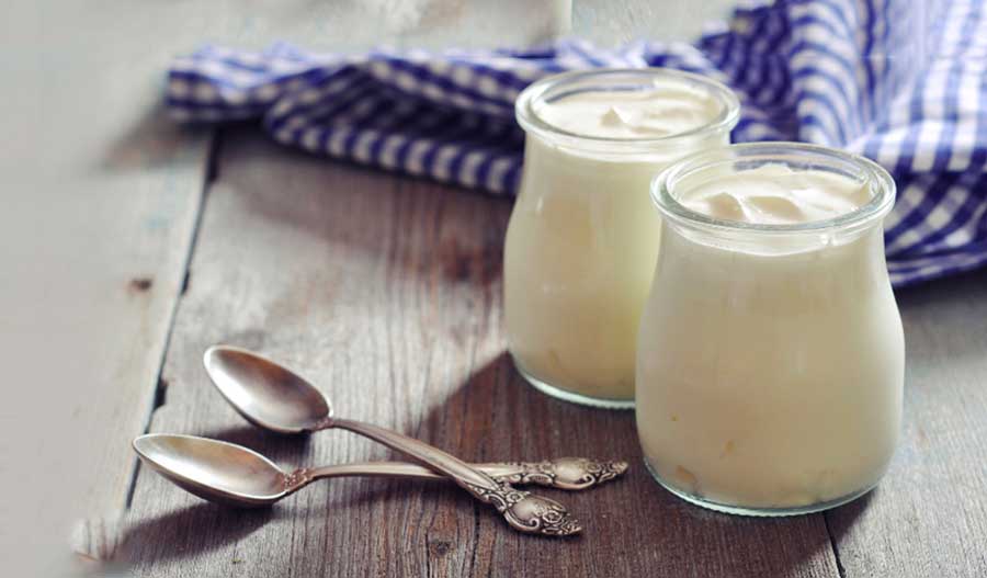 Yogurt: The best food for bone health
