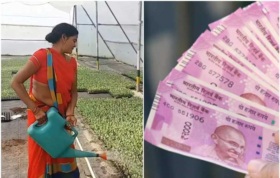 Women in Jharkhand earned Rs 2.5 crore from vegetable sales