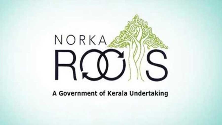 Apply for the NORKA Roots Directors Scholarship