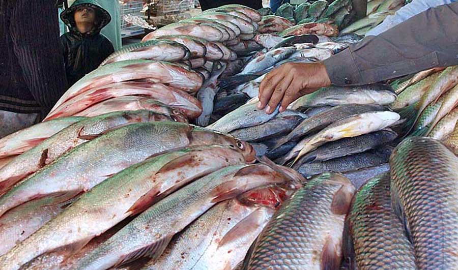 Fish Seed Investment Project inaugurated