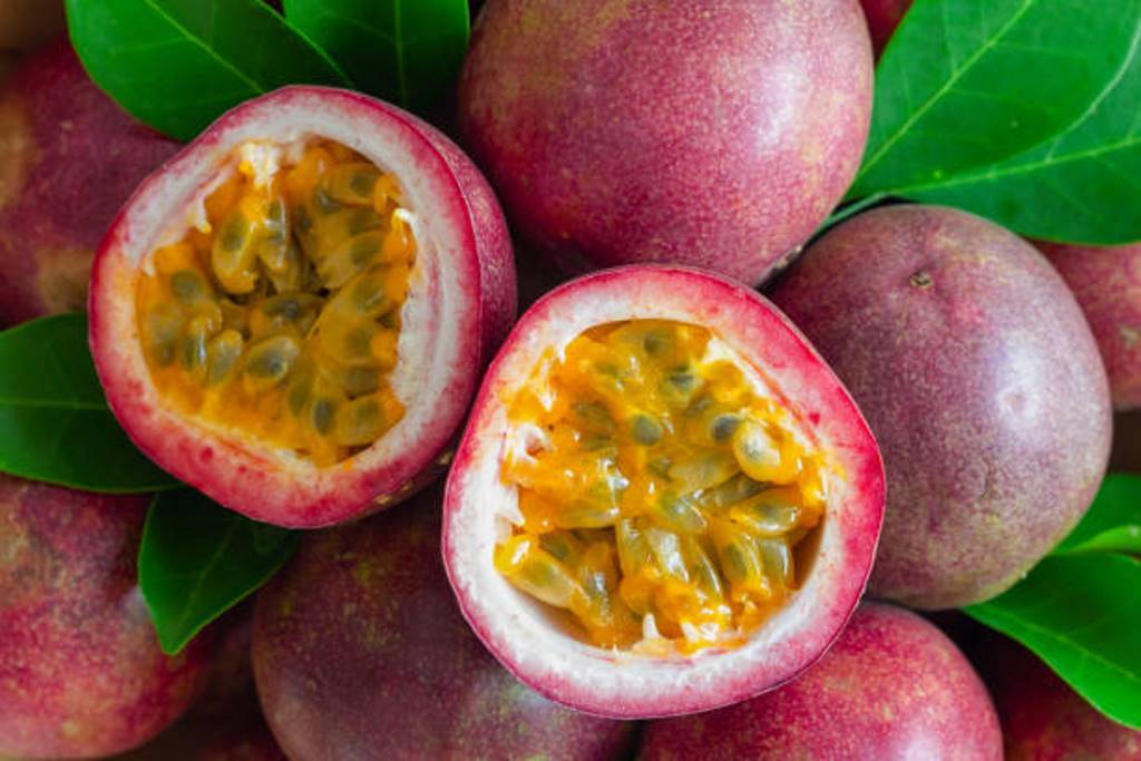 How to Cultivate Passion Fruit? Detaild information