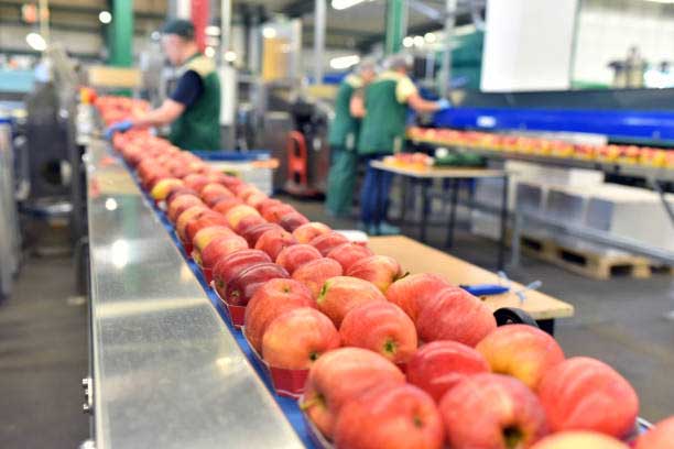 Loan and subsidy to start food processing enterprises