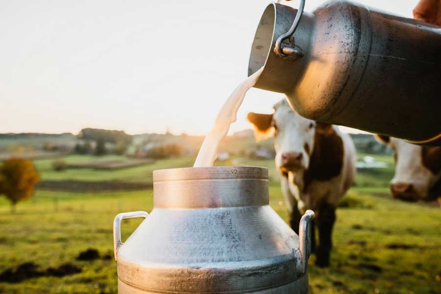 Aim to make Kerala No.1 in milk production in four years: Minister J. Chinchurani